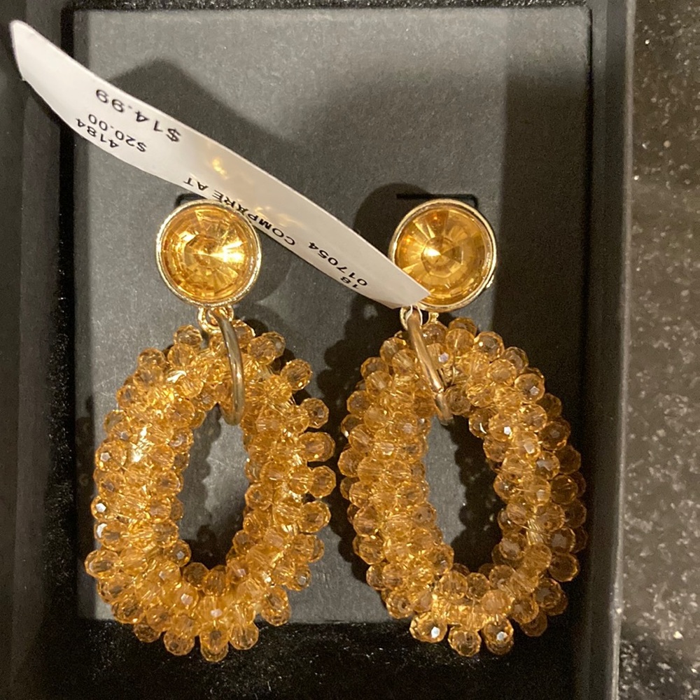Brand new earring